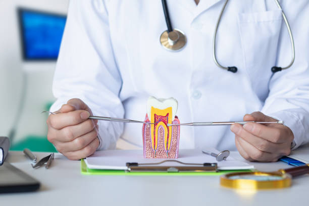 Best Emergency Dental Care for Broken or Chipped Teeth in Wallace, NC
